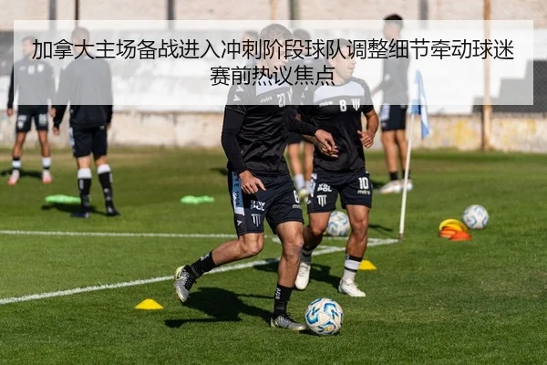 加拿大主场备战进入冲刺阶段球队调整细节牵动球迷赛前热议焦点